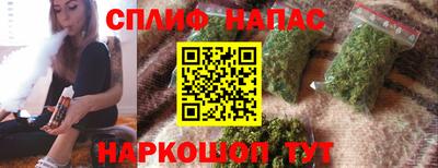 СК Краснодар