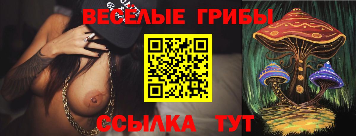 Псилоцибиновые грибы Psilocybine cubensis Усть-Джегута